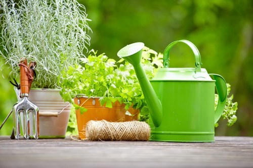 A collection of gardening tools and accessories arranged on a wooden outdoor surface, including a green watering can with a long spout, a coiled natural jute garden twine, and a small hand rake with a wooden handle. Behind these items are several potted plants and herbs, featuring lush green foliage with varying textures and shades, such as silver-gray leaves and bright green leaves. The background is blurred with vibrant green garden foliage, indicating an outdoor setting during daylight hours, suitable for garden maintenance or landscaping activities. The scene reflects well-maintained garden care elements typical of professional gardening services in Vauxhall, providing a natural, tidy outdoor environment with healthy plant growth and organized tools.
