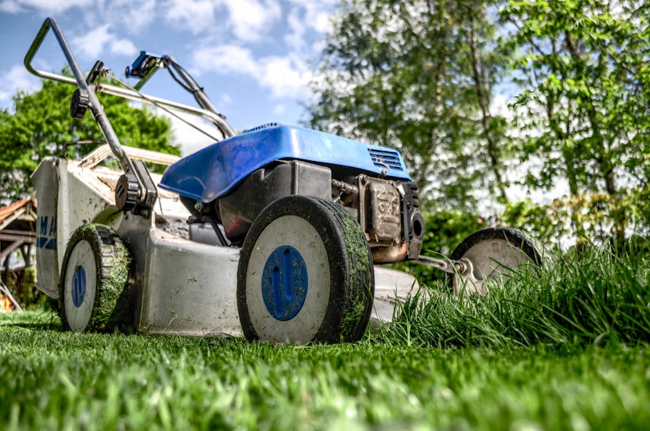 A close-up view of a lawn mowing machine with a blue engine cover and white body, resting on a well-maintained grassy area. The mower's large black wheels with blue hubcaps are in contact with the lus