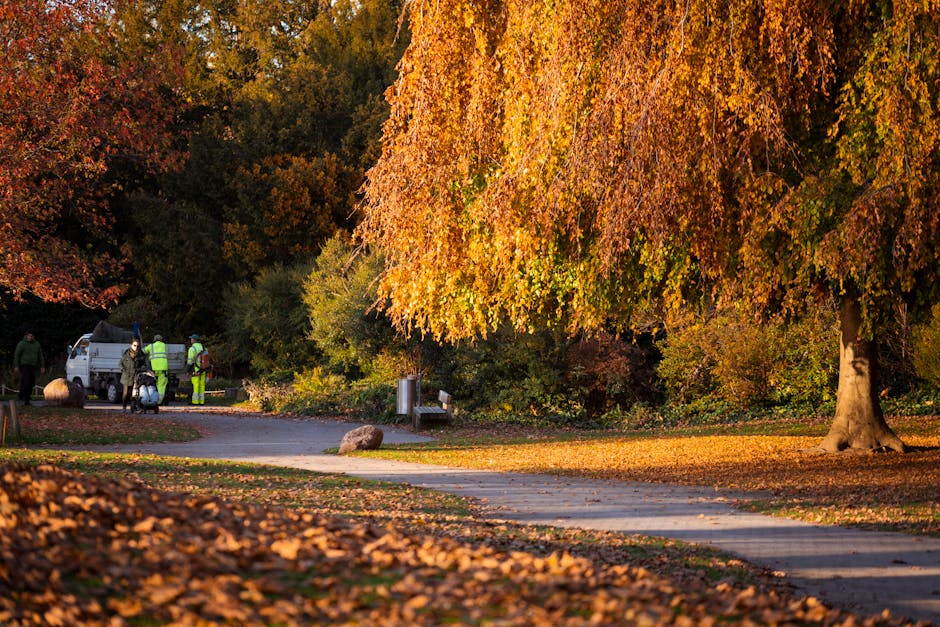 A peaceful park scene during autumn with a large deciduous tree that has vibrant orange and yellow leaves. The tree's dense foliage overhangs a paved pathway, which is partly covered with fallen leave